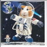 00-W_771_FR.6.80