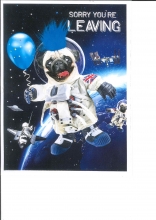 1-W_902_FR.12.80
