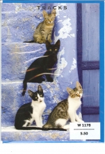 E1-W_1178_FR.5.50