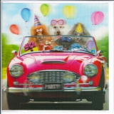 E4-W_725_FR.8.50