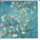 A1-W_1125_FR.6.50