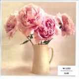 A1-W_1233_FR.6.50