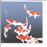 A1-W_667_FR.6.50