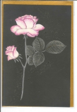 BU_361_FR.5.90
