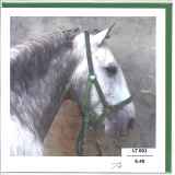 LT_001_FR.6.40