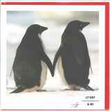 LT_037_FR.6.40
