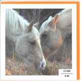 LT_039_FR.6.40