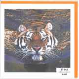 LT_042_FR.6.40