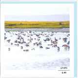 LT_072_FR.6.40