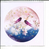 1-NK_1108_FR.6.50