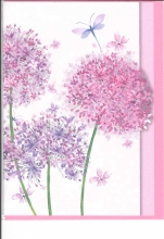 BC_797_FR.5.50
