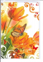 F7-BC_565_FR.5.50