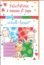 3-N_881_FR.5.50