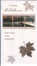 R-D_703_FR.3.90