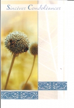U-D_552_FR.5.50