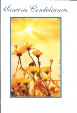 U-D_615_FR.5.50