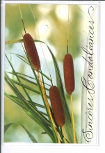 U-D_620_FR.5.50