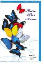 3-BFM_120_FR.4.90